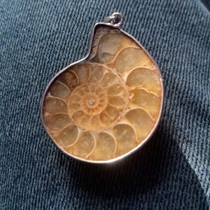 Fossil pendant